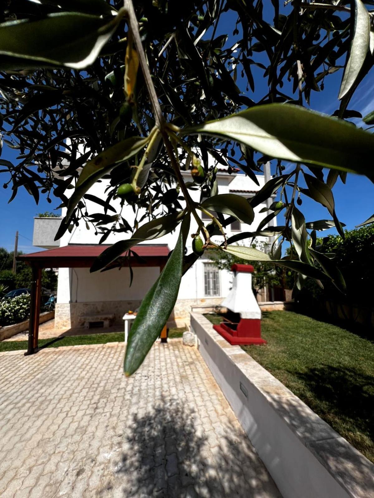 치스테르니노 Casa Tesoro 빌라 외부 사진
